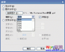 Word2003��������������ֺ�ͼƬˮ
